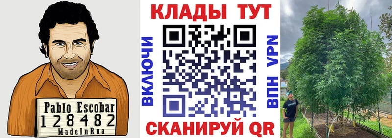 Где купить наркотики Дно Конопля  МЕФ  Cocaine  АМФЕТАМИН  ГАШ 