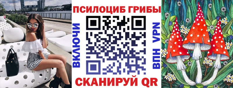 где купить Дно Галлюциногенные грибы Psilocybine cubensis
